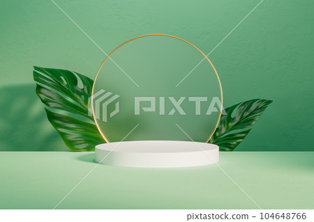 3d presentation white pedestal with leafs and gold frame over background wall 3d presentation white pedestal with leafs and gold frame over background wall 104648766
