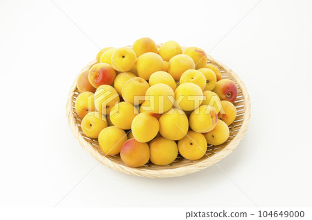 南高梅（成熟梅） 104649000