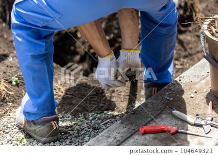 A man who cuts down trees in the garden 104649321