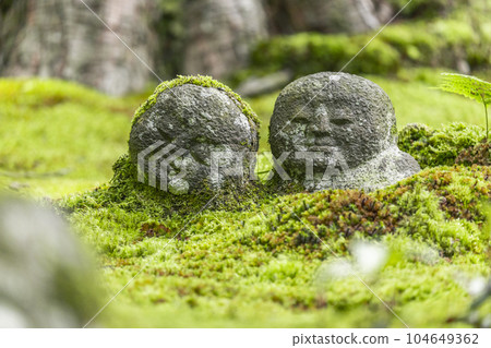 京都大原三千院：友成園中的蕨地藏，苔蘚美麗 104649362