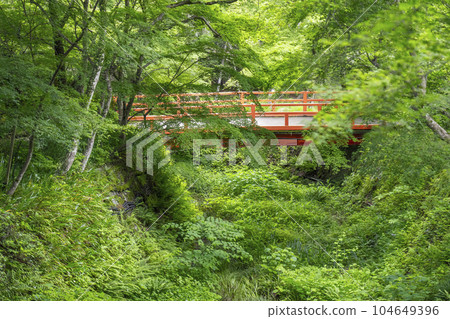 京都大原三千院繡球花園後方立川橋 京都大原三千院繡球花園後方立川橋 104649396