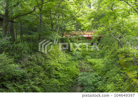 Ohara, Kyoto, Sanzen-in, behind the hydrangea garden, bridge over the Ritsu River Ohara, Kyoto, Sanzen-in, behind the hydrangea garden, bridge over the Ritsu River 104649397