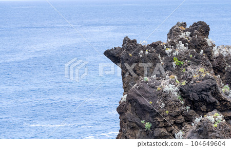 beautiful scenery in Porto Moniz 104649604