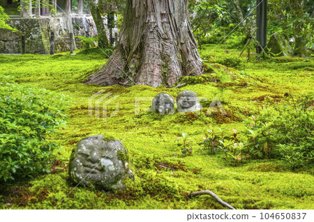 京都大原三千院:友成園中的蕨地藏,苔蘚美麗 京都大原三千院:友成園中的蕨地藏,苔蘚美麗 104650837
