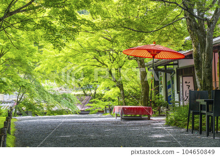 京都大原三千院御殿門茶室的綠意和露天傘 104650849