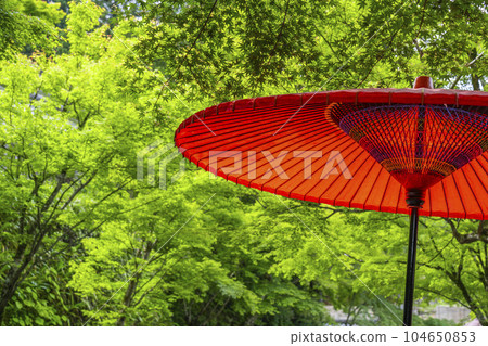 Kyoto Ohara Sanzen-in Temple Gotenmon-mae-sando (Ohara Onna no Komichi) fresh greenery and open-air umbrellas 104650853