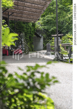 Ohara, Kyoto Sanzen-in Temple "Hibiki no Michi" along the Rogawa River Ohara Onna no Komichi 104650864