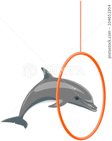 Dolphin showing tricks, jumping through hoop. Marine mammal is performing in dolphinarium 104651954