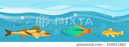 Tropical fish floating on seabed. Ocean bottom, underwater world with marine life reprsentatives Tropical fish floating on seabed. Ocean bottom, underwater world with marine life reprsentatives 104651962