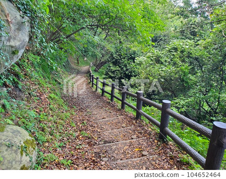 Promenade leading to Kyogamisaki Lighthouse and Summit Observatory Promenade leading to Kyogamisaki Lighthouse and Summit Observatory 104652464