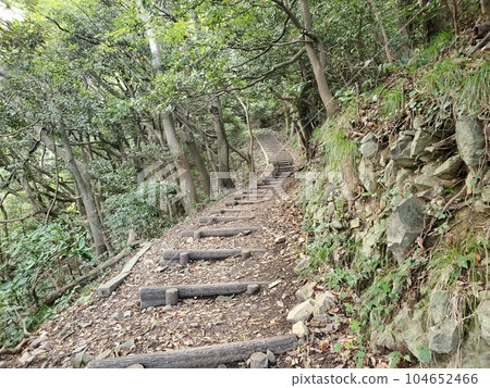 Promenade leading to Kyogamisaki Lighthouse and Summit Observatory Promenade leading to Kyogamisaki Lighthouse and Summit Observatory 104652466