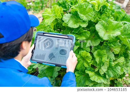 農民使用平板電腦數字化管理農作物 智能農業 Agritech 農民使用平板電腦數字化管理農作物 智能農業 Agritech 104653185