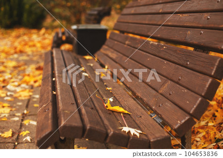 bench with fallen autumn leaves in the park bench with fallen autumn leaves in the park 104653836