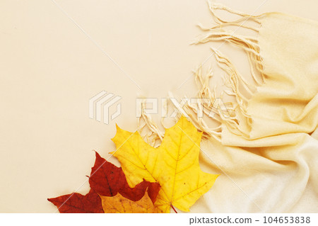 autumn leaves with a scarf on a beige background with copy space autumn leaves with a scarf on a beige background with copy space 104653838