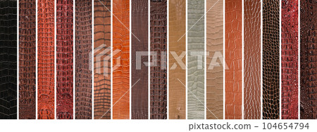 Natural crocodile skin in various color, suitable for luxury clothing accessories photo collage, website header banner 104654794