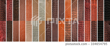 Natural crocodile skin in various color, suitable for luxury clothing accessories photo collage, website header banner 104654795