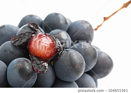 葡萄（夏季黑） 104655361