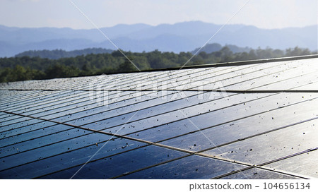 Solar cell panels become dirty caused by bird poops, concept of solar cell panel maintenance Solar cell panels become dirty caused by bird poops, concept of solar cell panel maintenance 104656134