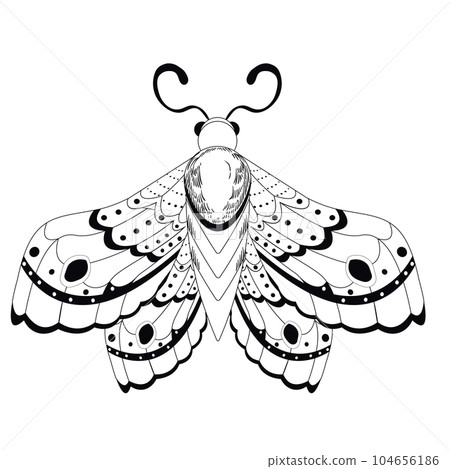 Magic mystic moth in doodle style, line art isolated, boho celestial esoteric symbol, tatoo or print 104656186
