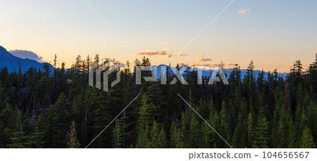 Canadian Mountain Landscape during Sunset. 104656567