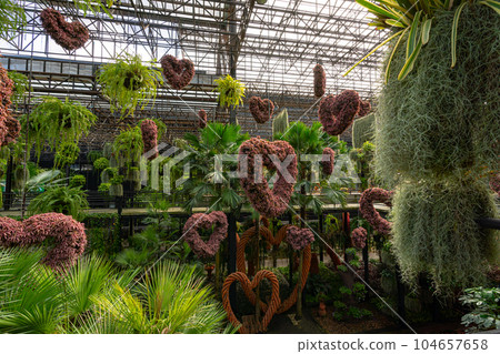 Plants and flowers of sky garden Plants and flowers of sky garden 104657658