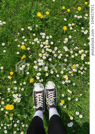 women's feet in sneakers on a lawn with daisies and dandelions women's feet in sneakers on a lawn with daisies and dandelions 104657951