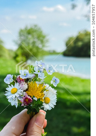 a small bouquet of wildflowers in the hands against the background of the river a small bouquet of wildflowers in the hands against the background of the river 104657957