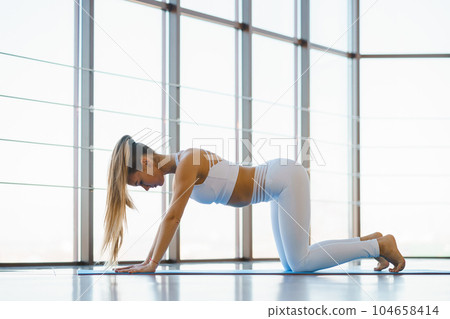 Young Woman Exercising against Scenic Windows Young Woman Exercising against Scenic Windows 104658414