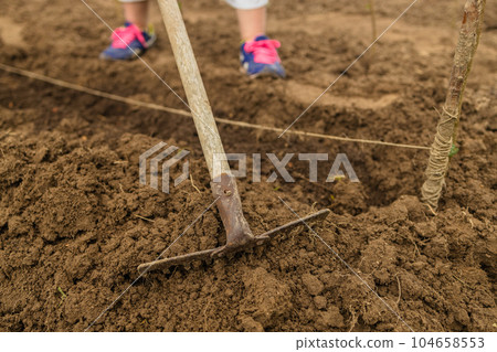 Cultivation of land by large garden rake. Spring cleaning. Expert hand of farmer checking soil health before growth a seed of vegetable or plant seedling. Business or ecology concept. Cultivation of land by large garden rake. Spring cleaning. Expert hand of farmer checking soil health before growth a seed of vegetable or plant seedling. Business or ecology concept. 104658553