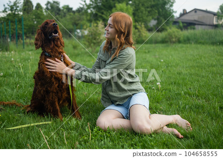 Red Irish Setter outdoor training process. Beautiful blonde smiling happy young woman in denim shorts are sitting at glass and training a cute samoyed dog in the summer park sunset rays field Red Irish Setter outdoor training process. Beautiful blonde smiling happy young woman in denim shorts are sitting at glass and training a cute samoyed dog in the summer park sunset rays field 104658555