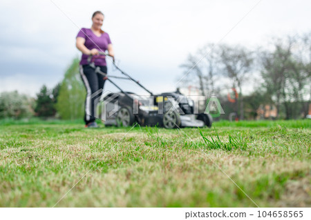 A young woman worker is mowing a lawn with a lawn mower in his beautiful green floral summer garden. A professional gardener with a lawnmower cares for the grass in the backyard. A young woman worker is mowing a lawn with a lawn mower in his beautiful green floral summer garden. A professional gardener with a lawnmower cares for the grass in the backyard. 104658565