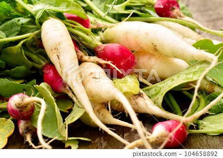 Ripe radish of two types with tops. Ripe radish of two types with tops. 104658892