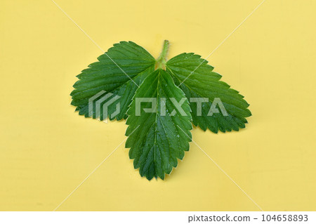 Three green strawberry leaves on a yellow background. 104658893