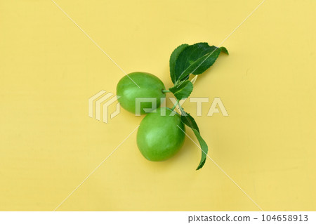 Branch with green plums on yellow. Branch with green plums on yellow. 104658913