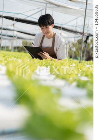 man Farmer harvesting vegetable and audit quality from hydroponics farm. Organic fresh vegetable, Farmer working with hydroponic vegetables garden harvesting, small business concepts man Farmer harvesting vegetable and audit quality from hydroponics farm. Organic fresh vegetable, Farmer working with hydroponic vegetables garden harvesting, small business concepts 104659638