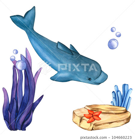 Watercolor dolphin, stones, starfish, bubbles, blue and violet seaweed. Illustrations underwater grass and rock collection, nature landscape illustrations elements, isolated on white background for Watercolor dolphin, stones, starfish, bubbles, blue and violet seaweed. Illustrations underwater grass and rock collection, nature landscape illustrations elements, isolated on white background for 104660223