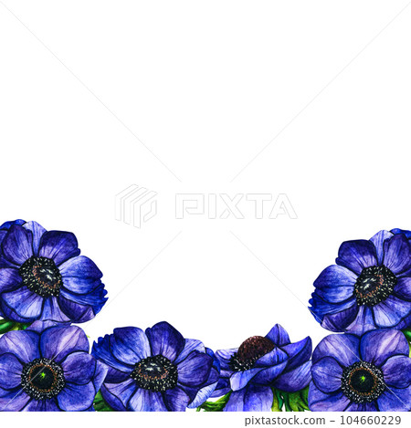 Hand drawn watercolor border flowers violet anemone on white background. Spring floral botanical illustration isolated for greeting cards, wedding invitation, birthday and mothers day cards. Hand drawn watercolor border flowers violet anemone on white background. Spring floral botanical illustration isolated for greeting cards, wedding invitation, birthday and mothers day cards. 104660229
