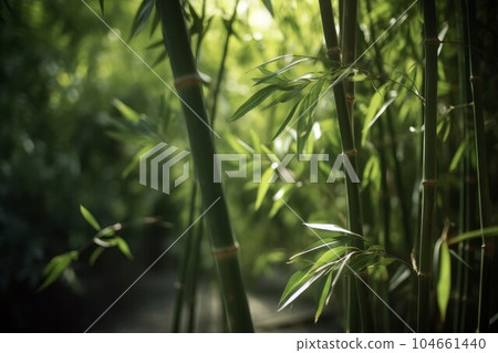 Bamboo forest closeup. Green nature. Generate Ai Bamboo forest closeup. Green nature. Generate Ai 104661440