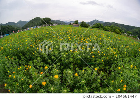 貝尼花園遍布 貝尼花園遍布 104661447