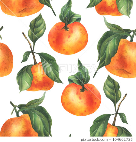 Orange tangerines with green branch and leaves, citrus tropical fruit. Watercolor illustration, hand drawn. Seamless pattern on a white background. Orange tangerines with green branch and leaves, citrus tropical fruit. Watercolor illustration, hand drawn. Seamless pattern on a white background. 104661725