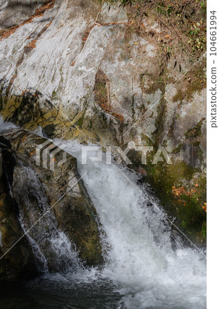 秋天的花貫谷潮見瀑布 秋天的花貫谷潮見瀑布 104661994