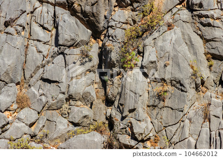 Natural texture of a mountain cliff rock for background Natural texture of a mountain cliff rock for background 104662012