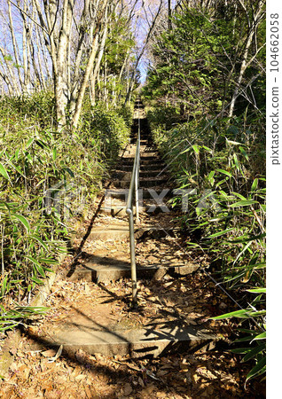 道志地塊的石割山 石割神社的參道 104662058