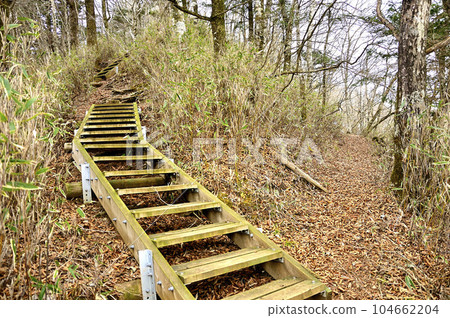 Tanzawa's Otananokashira Yamabushi Pass east branch road on the Kaso border ridge Tanzawa's Otananokashira Yamabushi Pass east branch road on the Kaso border ridge 104662204