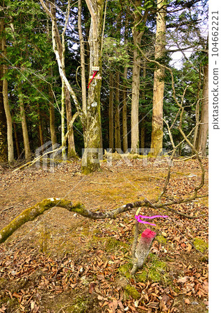 多西地塊日向峰山頂 多西地塊日向峰山頂 104662221