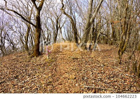 Kotengu summit of Doshi massif Kotengu summit of Doshi massif 104662223
