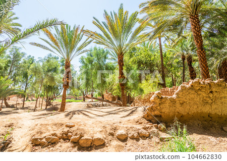 Al Ula ruined old town street with palms along the road, Saudi Arabia Al Ula ruined old town street with palms along the road, Saudi Arabia 104662830