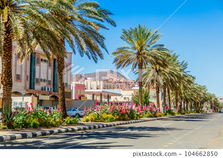 Modern street with row of palm trees, Al Ula town, Saudi Arabia Modern street with row of palm trees, Al Ula town, Saudi Arabia 104662850