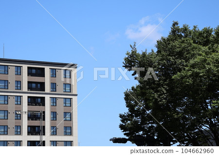 藍天、白雲、綠葉路邊樹木和建築物的城市景觀 藍天、白雲、綠葉路邊樹木和建築物的城市景觀 104662960