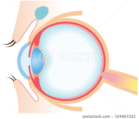 Structure of the eye Cross-sectional view Medicine Structure of the eye Cross-sectional view Medicine 104663382